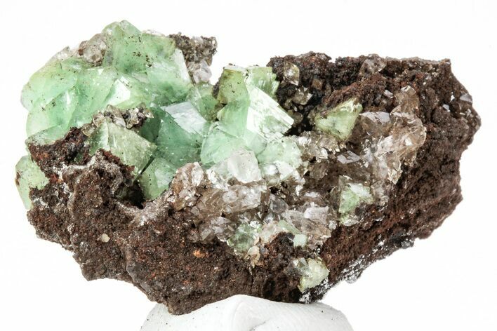 Cuprian Adamite Crystals on Matrix - Ojuela Mine, Mexico #211973